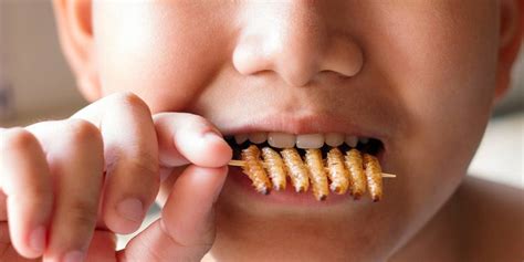 Pourquoi Faire Manger Des Insectes Aux Enfants La Libre