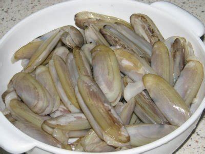 Secara umum pembagian seni dibedakan berdasarkan indra penserapannya, yaitu. Gambar Secubit Rahsia Secukup Rasa Jom Layan Jenis2 Siput ...