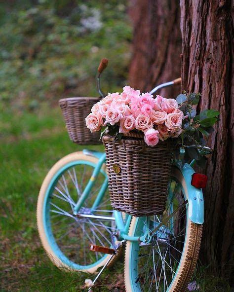 360 Baskets Blooms And Bicycles Ideas In 2021 Bloom Beautiful Flowers