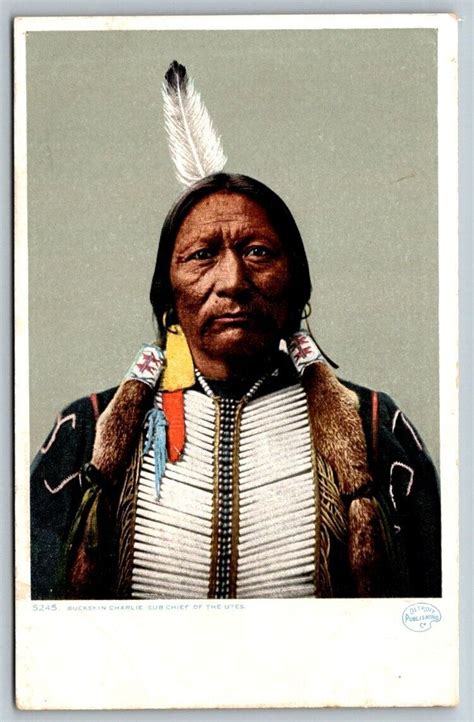 Native American Buckskin Charlie Sub Chief Of The Utes Postcard Other Unsorted Postcard
