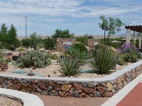 Desert plants may tend toward smaller leaves, branches, flowers and size than counterparts in wetter climates. Cactus and Succulent Garden - El Paso Desert Botanical ...