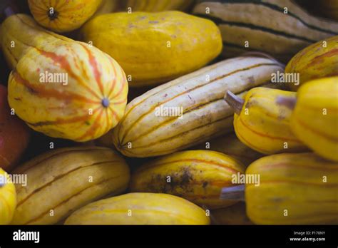 Farmers Market Delicata Squash Stock Photo Alamy