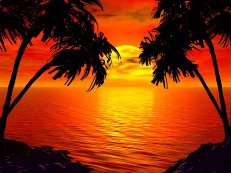 Tropischer Inselstrand Des Sonnenuntergangs Hawaii Sonnenuntergang