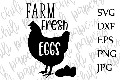 Farm Fresh Eggs Svg 46321 Illustrations Design Bundles