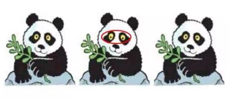 Can You Spot The Panda Find The Hidden Panda In