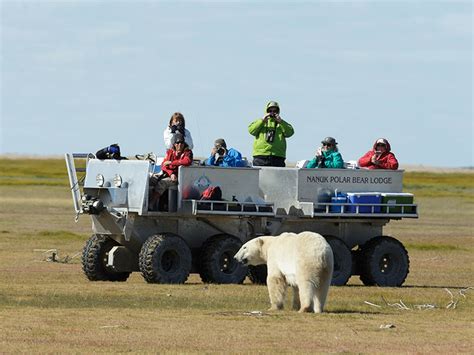 Canada Polar Bear Lodge Hudson Bay Odyssey