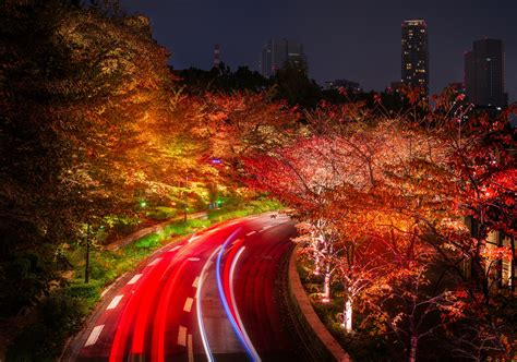 Japan Tokyo Roads Autumn Trees Night Hd Nature 4k