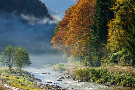 Autumn Landscape With Bright Colorful Leaves Falling Leaves On The