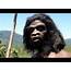 Ape To Man  DocumentaryTube