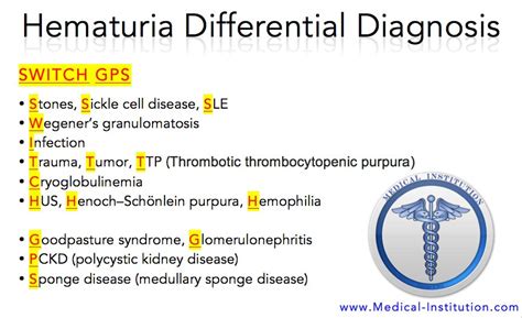 Hematuria Differential Diagnosis Usmle Step 2 Cs