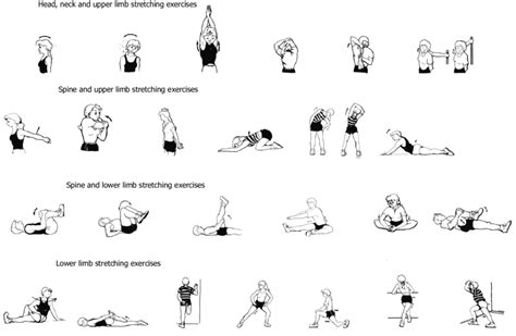 Graphic Design Of Different Stretching Exercises Head Neck Spine