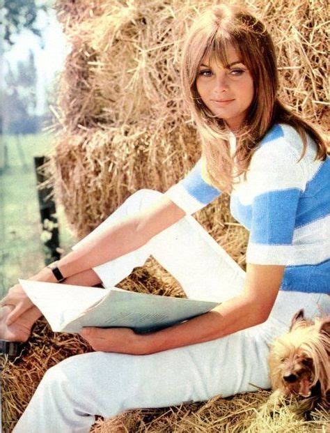 Jean Shrimpton Yardley Of London Ideas Jean Shrimpton Shrimpton