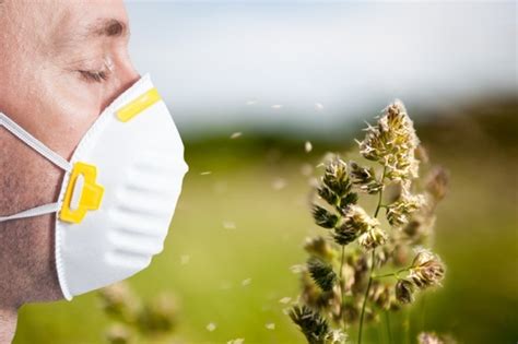 Are Pollen Allergies Driving You Insane Health24