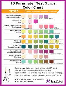 How To Read Uti Test Strips Just Fitter