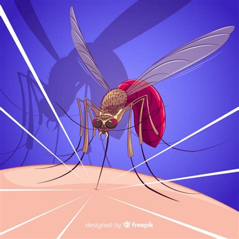 Free Colorful Mosquito Bite Compositio Nohatcc