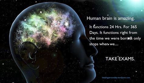 Human Brain Amazing Human Brain Quotes 950x554 Wallpaper