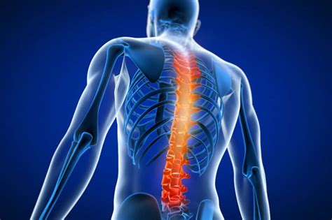 Back Pain Causes Symptoms And Treatments Dr Vinil Shinde