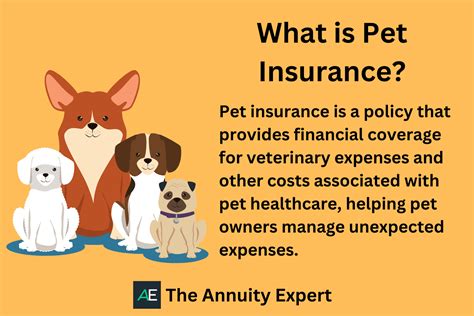 Cheap Pet Insurance A Comprehensive Guide 2023