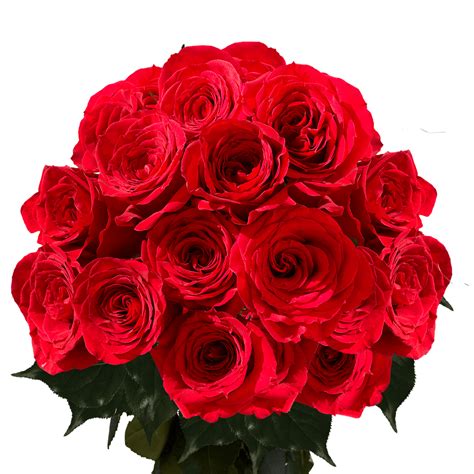 Bulk Dozen Red Roses Globalrose