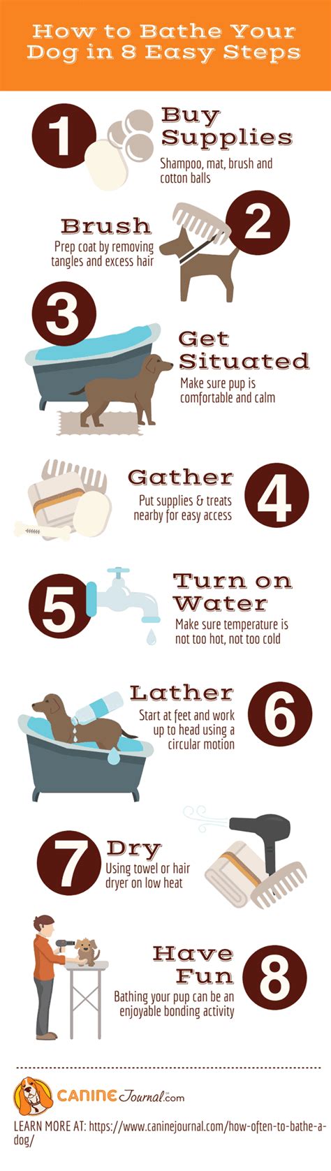 If you bathe them excessively, you will get rid of this layer that protects them, so it is not advisable to bathe them too. How Often You Should Bathe Your Dog (Plus 8 Bathing Tips ...
