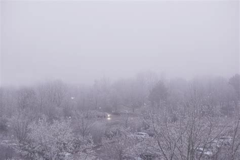 Free Images Tree Forest Mountain Snow Winter Fog Mist Morning Hill Frost Weather