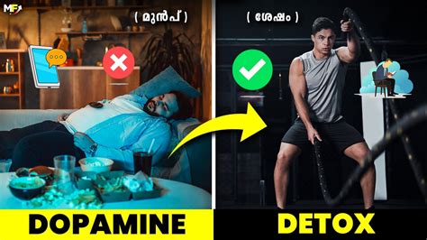 Dopamine Detox How To Take Back Control Over Your Life Malayalam Motivational Video Youtube