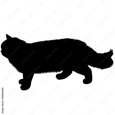 Ragdoll Cat Silhouette Vector Graphics Stock Vector Adobe Stock