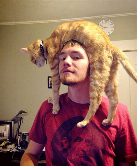 Latest Fashion Trend Wearing Cats As Hats
