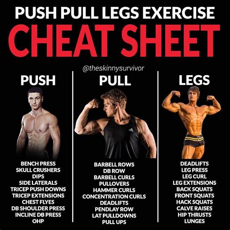 Step By Step Push Pull Legs Advanced Workout For Exercise Activities