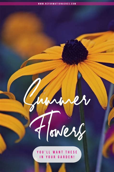 7 Loveliest Summer Flowers Youll Want In Your Garden Reformation