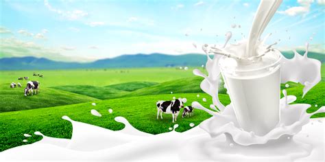 Visiting card background hd images. background of milk powder poster pasture natural vector in ...