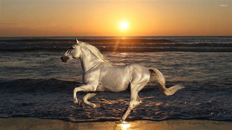 White Horse Running On The Beach