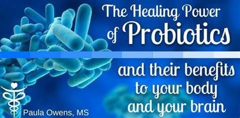 The Healing Power Of Probiotics Paula Owens Ms