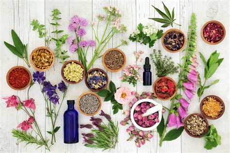 5 Natural Remedies For Chronic Pain Alternative Medicine Magazine