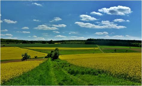 Der Weg Durch Die Felder Foto And Bild Landschaft Äcker Felder