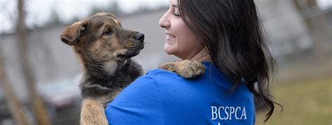 Bc Spca The Bc Society For The Prevention Of Cruelty To Animals