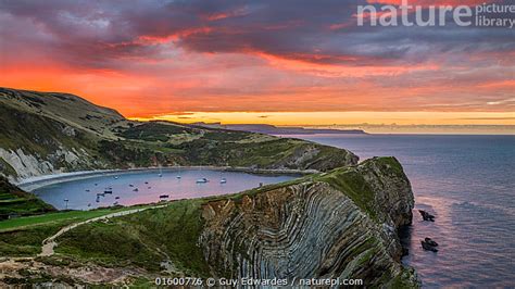 Nature Picture Library Lulworth Cove And Stair Hole At Sunrise West
