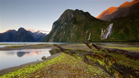Parque Nacional Fiordland Turismo Qué Visitar En Parque Nacional