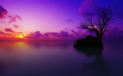 Wallpaper Sunlight Trees Sunset Sea Water Reflection Sky