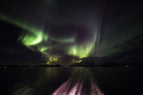 Northern Lights Alaska Cruise May Shelly Lighting