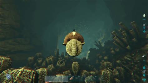 Ark Survival Evolved Official Pvp Western Underwater Cave Easy Guide Ps Youtube