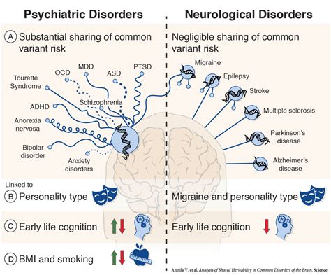 Research Shows Genetic Link Between Psychiatric Disorders Mcknight