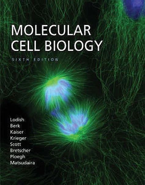 Molecular Cell Biology 6TH Edition 6th Revised edition Edition - Buy Molecular Cell Biology 6TH ...