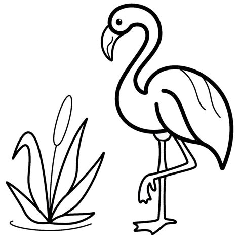 Free Printable Flamingo Coloring Pages
