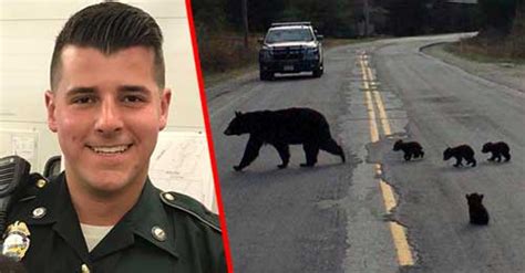 Cop Stumped When Baby Bear Refuses To Move Looks Closer And Realizes