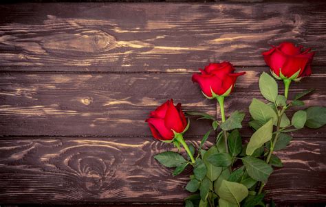 Wallpaper Bouquet Red Wood Romantic Roses Red Roses Images For