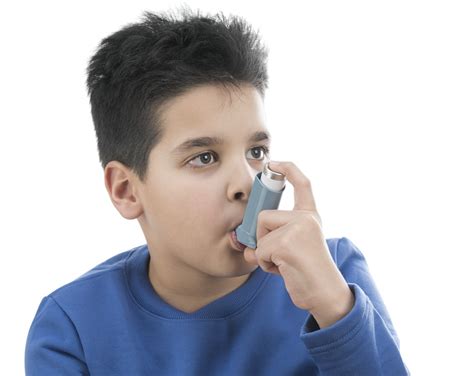 National Asthma Council Australia Launches National Asthma And Allergy