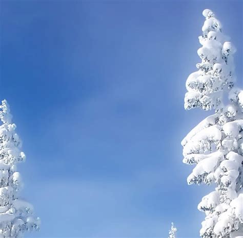 20 High Definition Winter Wonderland Wallpaper Iphone