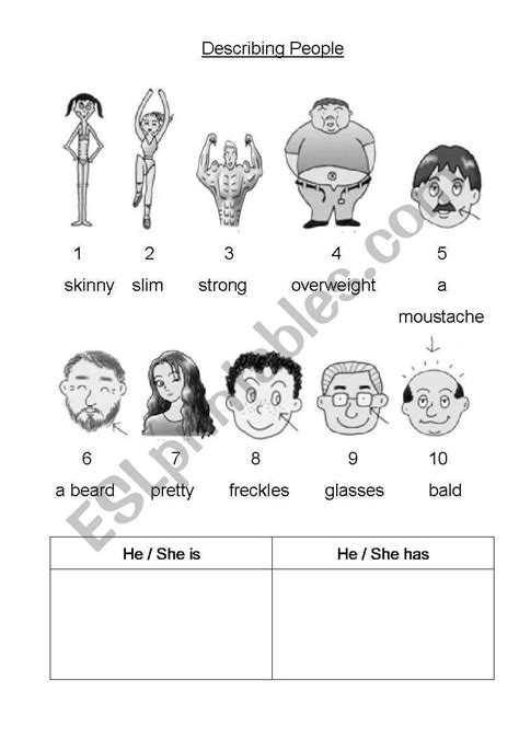 Describe Physical Appearance Worksheet Vocabulary Worksheets Physics