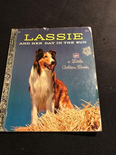Vintage Golden Book Lassie And Her Day In The Sun Book 1972 Etsy